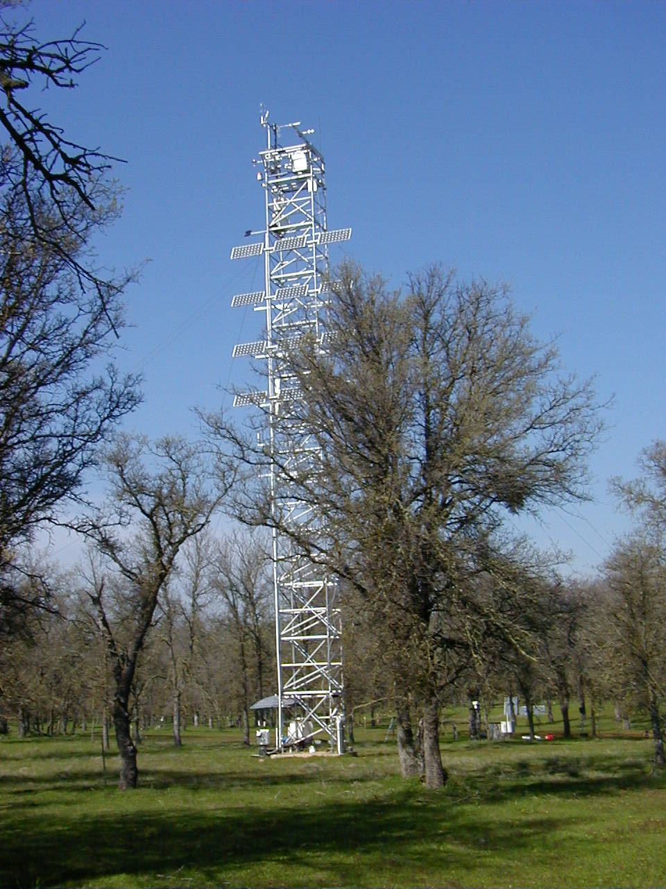 Oak-Grass Savanna Tower and Study Site, Winter 2005