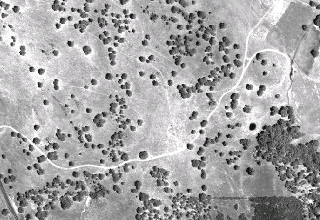 Remote View of the Grassland Site, IKONOS Panchromatic