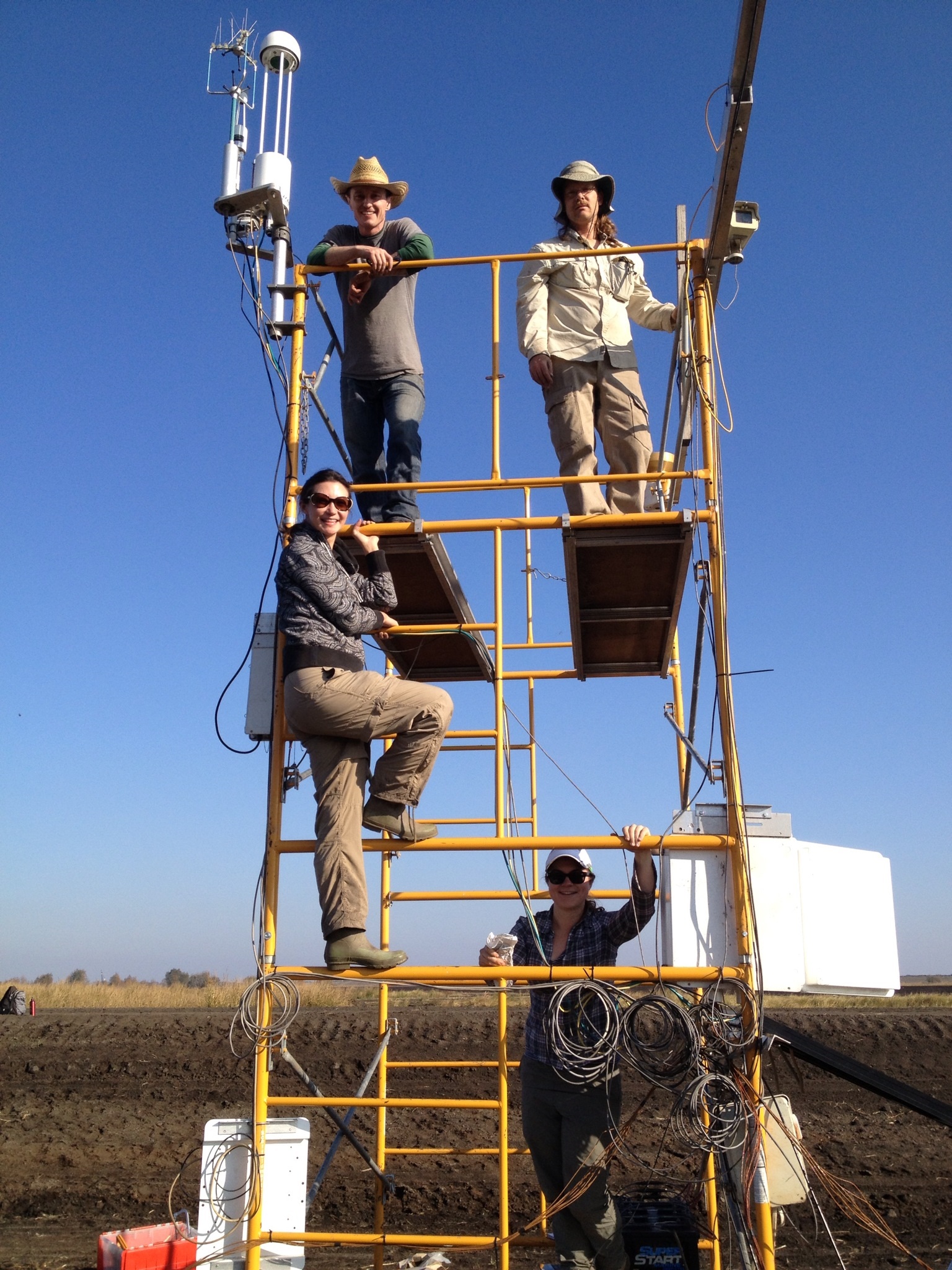 new flux tower twitchell wetland