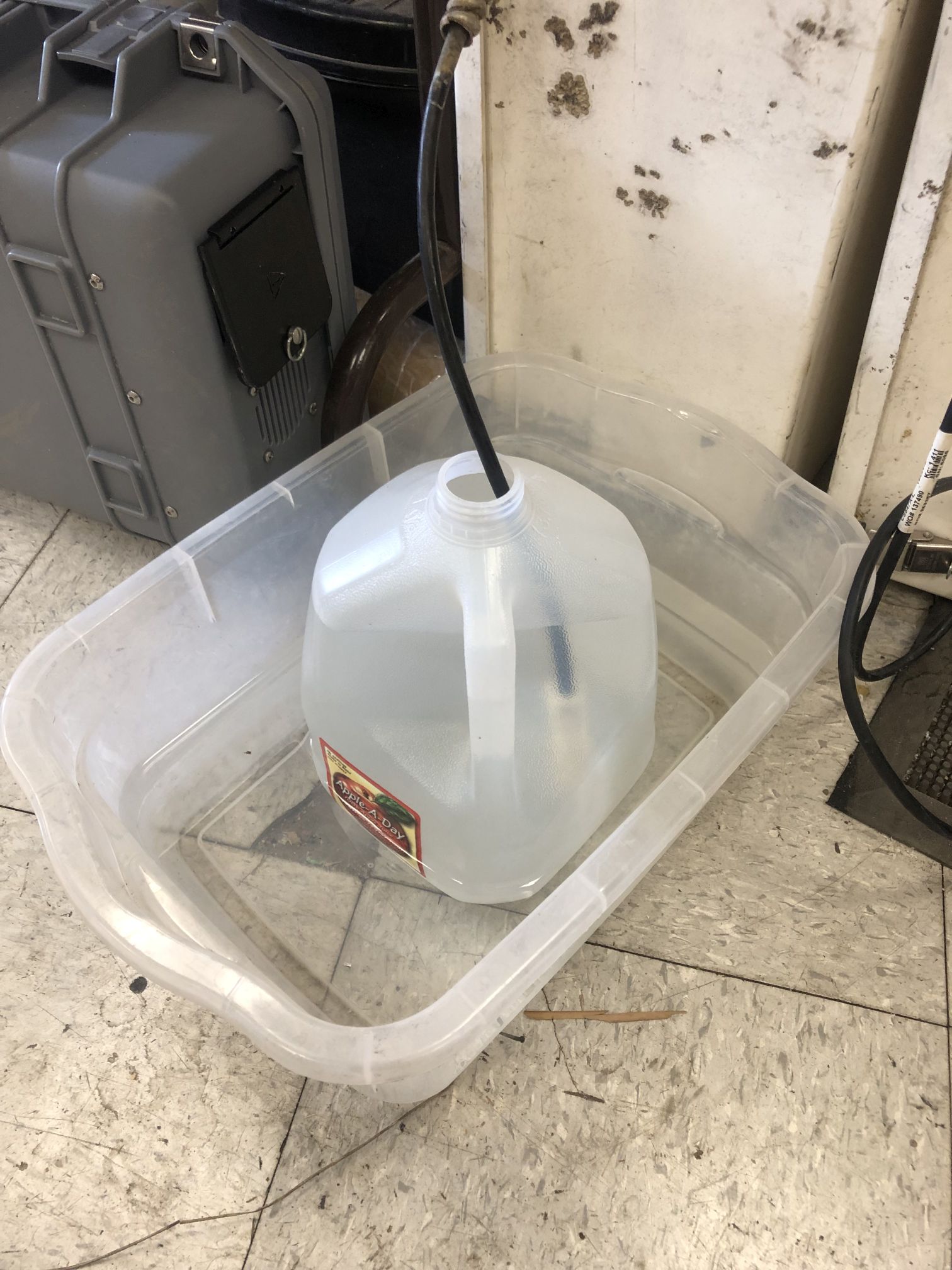 Gallon jug inside a plastic tub, both partly filled with water