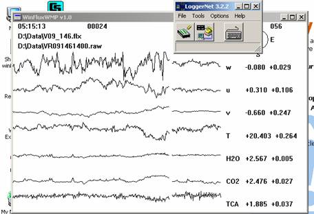 Vaira Gill sonic plots screen before downloading data