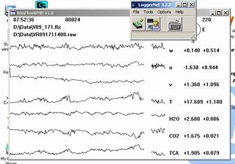 Vaira Gill sonic plots screen before IRGA swap