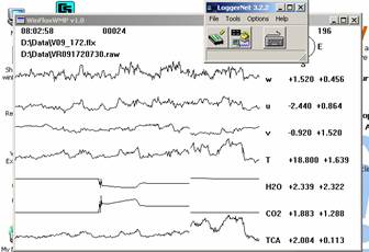 Vaira Gill sonic plots screen after IRGA swap