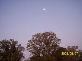 Full moon at dawn above oak trees