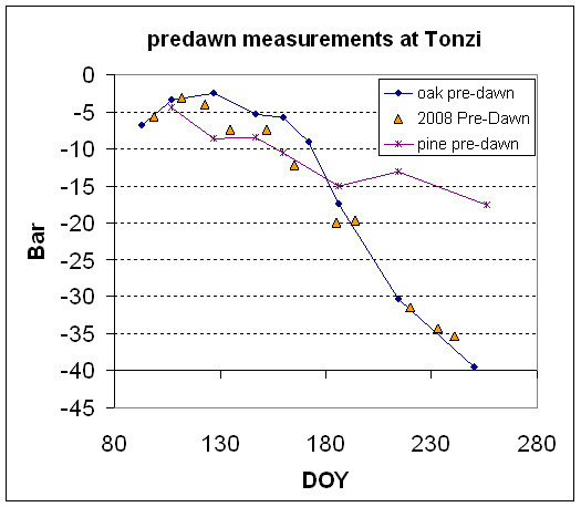 Line plot of left water potential from 2008-2009