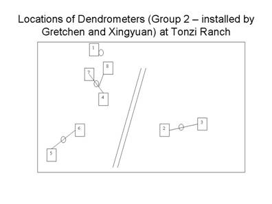 Diagram of dendrometer tree locations