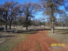 Dirt road and trees at Tonzi