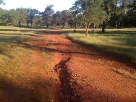 Dirt road at Tonzi