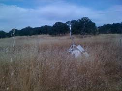 Vaira eddy tower in dead grass