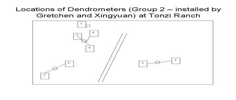 Diagram of dendrometer tree locations