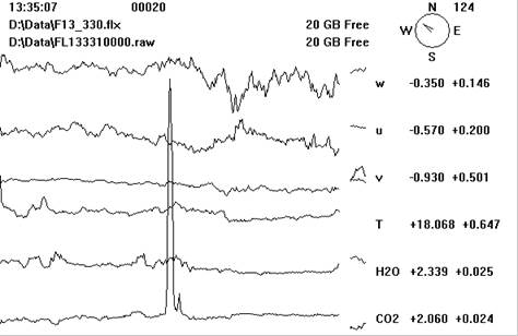 Floor Gill sonic plots screen before downloading data