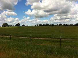 Green pastrue and pretty clouds