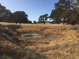 The small pond is dry