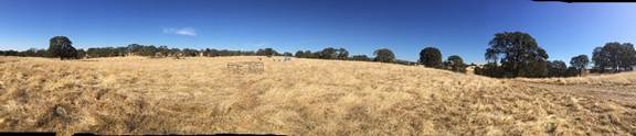 panorama of dead grass pasture