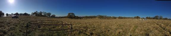 Panorama of pasture with biomass fence