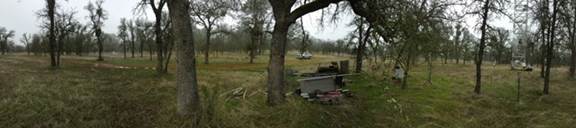 Panorama of oak savanna storage boxes