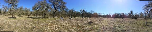 Panorama of soil co2 area at oak savanna