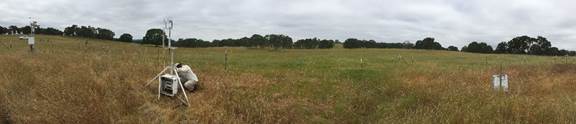 Panorama of Vaira site with Joe at the eddy tower