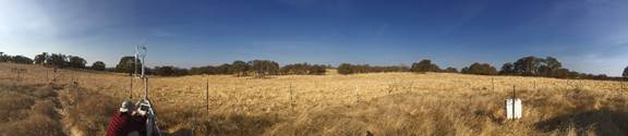 Panorama of the Vaira site with Joe at the eddy tower