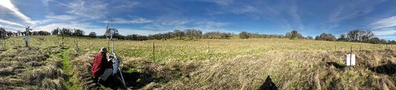 Panorama of new grass at Varia