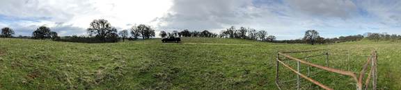 Panorama of green grass at Vaira