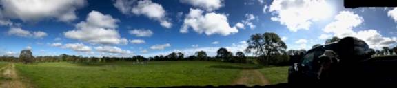 Pretty panorama of green grass puffy clouds