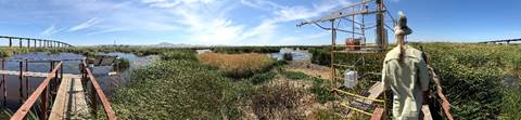 Panorama of the Sherman Wetland site