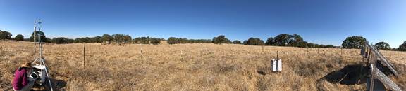 Panorama of pasture with Daphne at eddy tower