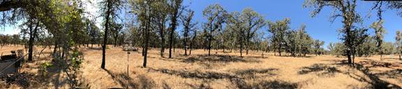 Panorama of dry savanna