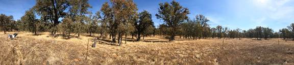 Panorama of dry savanna