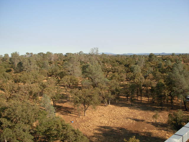View of oak savanna with dead grass from tower top