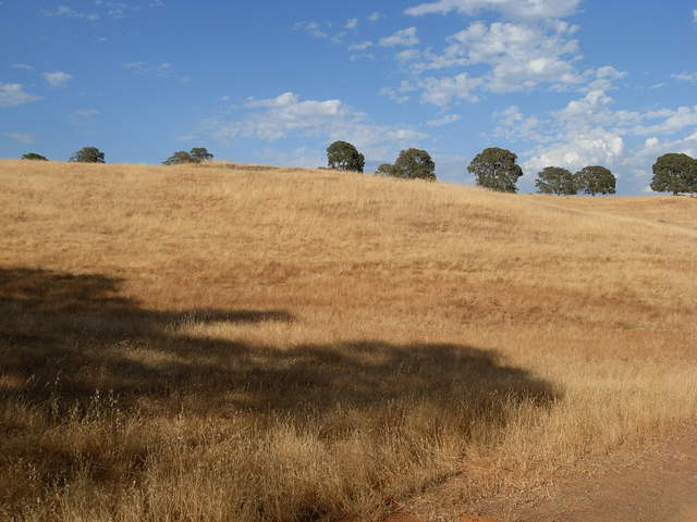 Entrance of Vaira ranch