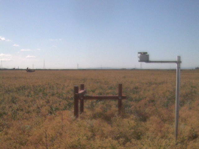 Tractor in the field