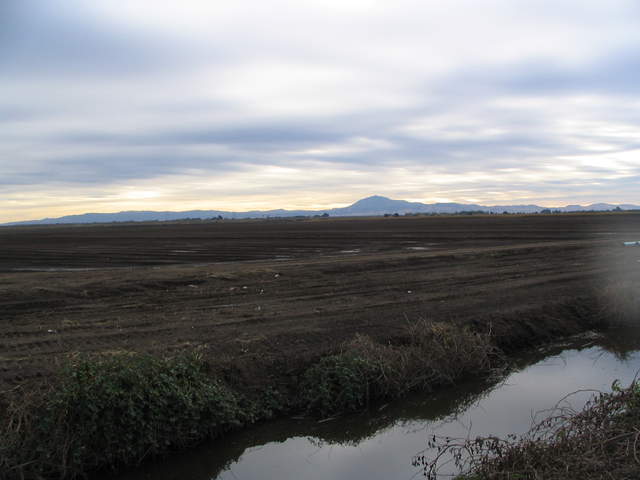 A ditch, rice field and Mt Diablo under cloudy skies