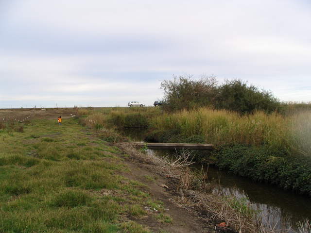 The drainage ditch along the north side of the rice fields