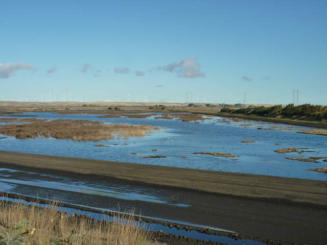 View of newly flooded wetland from levee
