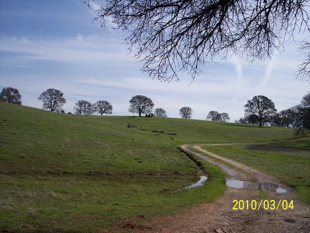 Puddles in dirt road through hills and oaks