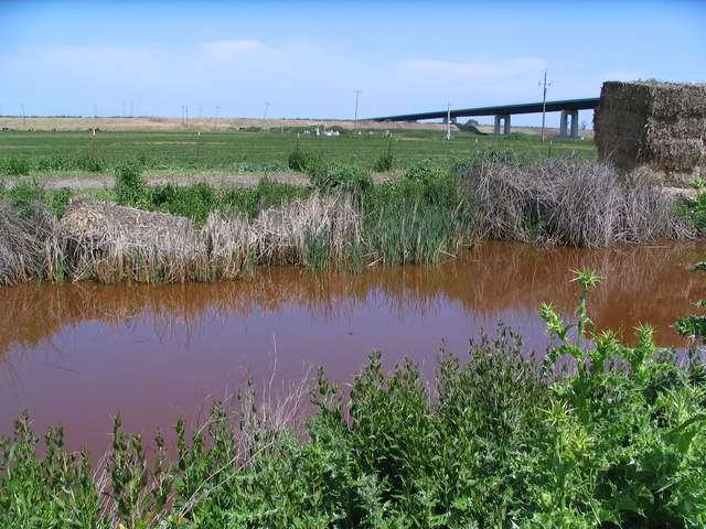 Very brown water in field ditch