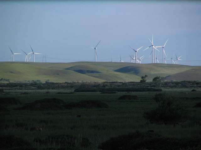 Wind mills in morning light