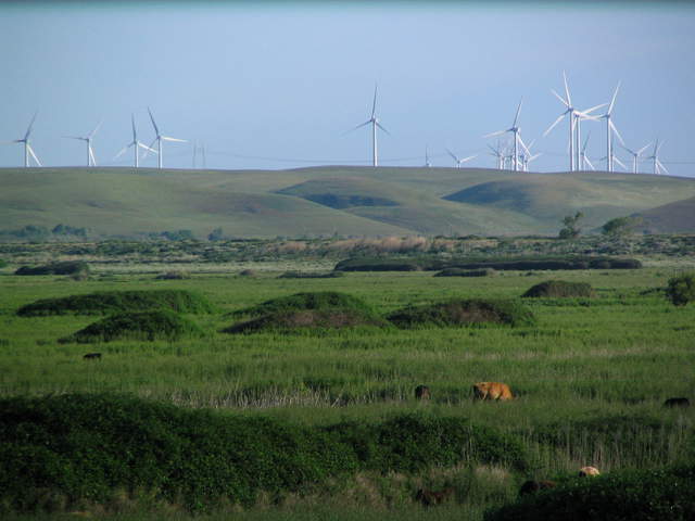 Wind mills on the hills