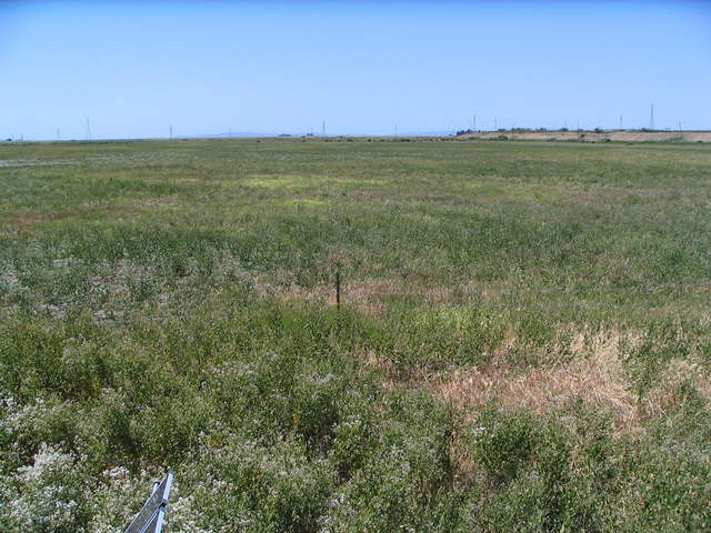  Field To West