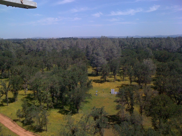 View of Floor site from tower top at the oak savanna