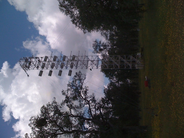 Main tower at Tonzi oak savanna