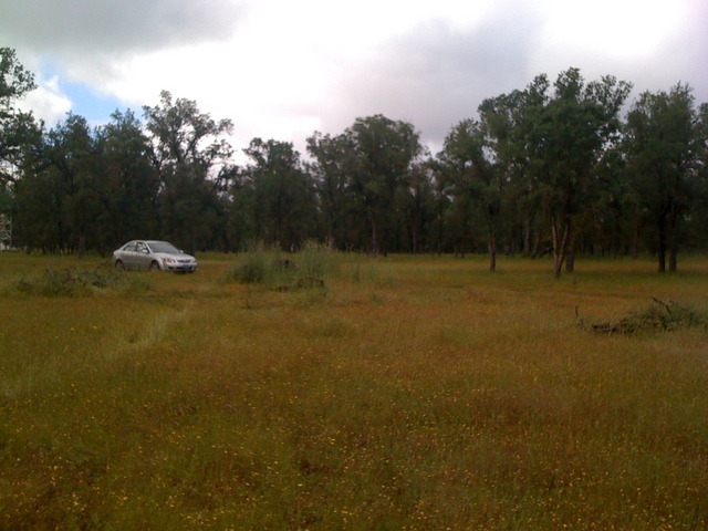 Oak savanna with cloudy skies and car