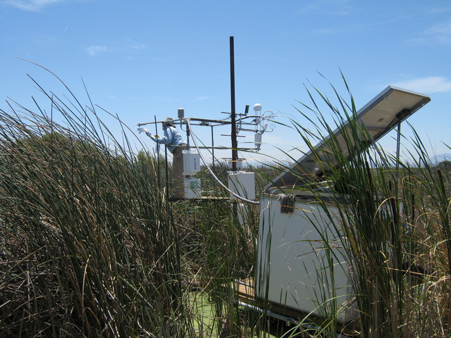 East Pond USGS eddy site