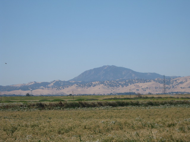 Mt Diablo from Sherman Pasture site