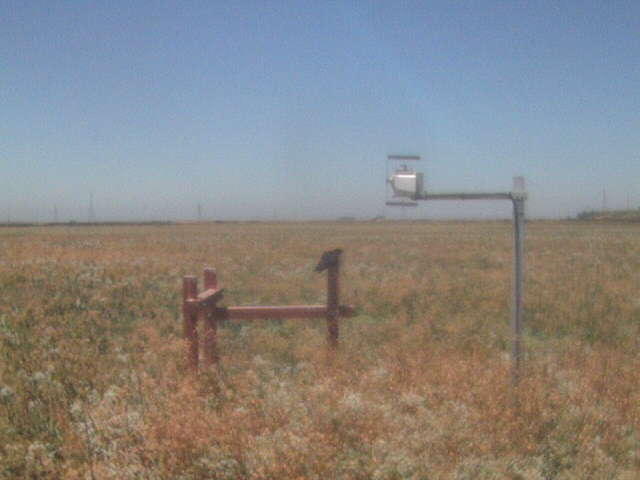 Crow on the fence.