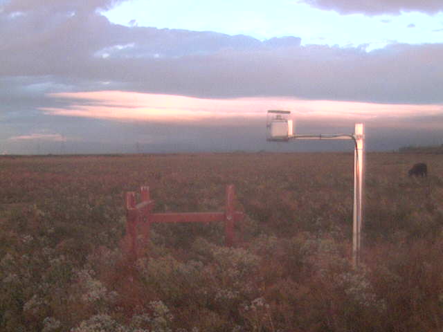 Nice clouds at dawn.