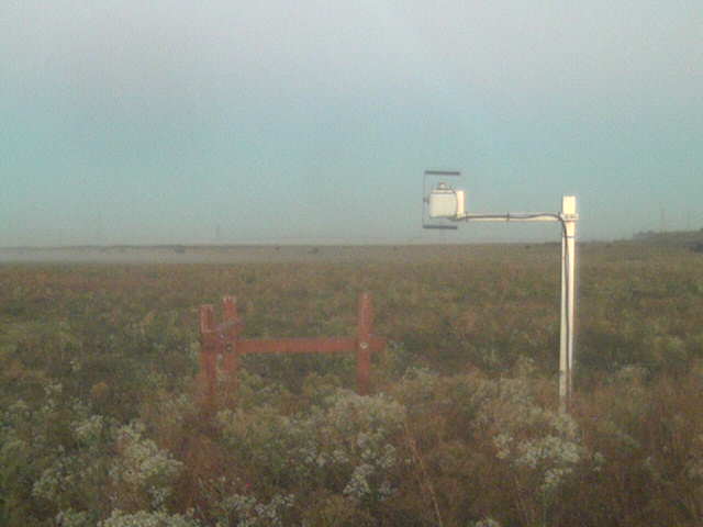 Fog along the ground.