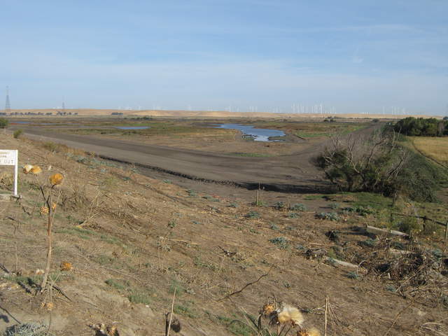 View of new Mayberry wetland from southeast corner